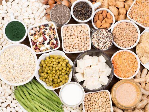 Porady dotyczące diety opartej na białkach roślinnych dla zdrowego życia